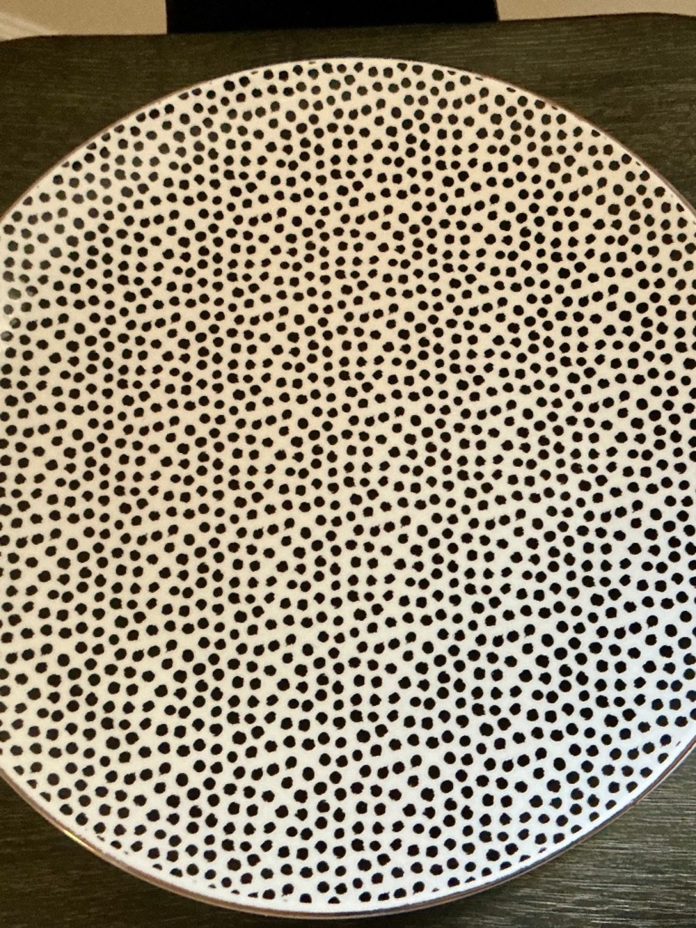 Thyme & Table Dot Dinner Plates Set of 2
